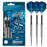 Harrows Assassin 21 80% | Dartpijlen | Dartwebshop.nl